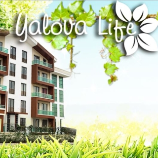 Yalova Life